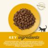 Applaws Voksen Kattemat 7,5 kg med Kylling - Kornfri Tørrfôr