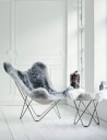 Cuero Iceland Mariposa Butterfly Stol Shorn Grey/Chrome