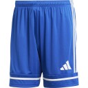 adidas Squadra 25 Treningsshorts Herre Blå Størrelse L