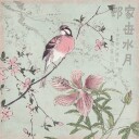 Chinoiserie No1 Plakat / 50x50cm