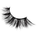 KimChi Chic Super Bish Lash False Eyelashes What Bish