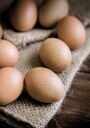 Brown Organic Eggs Plakat Plakat / 70x100cm