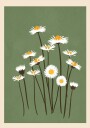 Little Flowers Plakat Plakat / 40x50cm