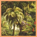 Xiu Xiu La Foret Vinyl