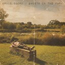 Bruce Soord  Ghosts in The Park  CD