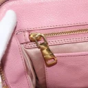 Miu Miu Dame Rosa