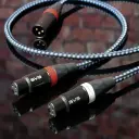 SVS SoundPath XLR