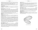 Neuropteroids of Europe