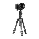 Dacota Platinum Mini karbonfiberstativ svart