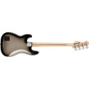 Fender Troy Sanders Precision Bass