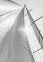 Sail In Sunlight Plakat Plakat / 100x150cm