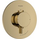 Hansgrohe Ecostat Comfort S dusjbatteri, gull Messing