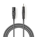 Nedis Balansert XLR 3-Pin Lydkabel 3,00 m Mørk Grå PVC