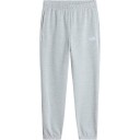The North Face Teen Evolution Simple Dome Pant   Grey   L