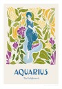 Jlr Aquarius Copy Poster Plakat / 30x40cm