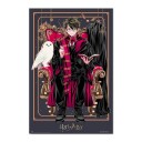 Harry Potter Plakat Wizard Dynasty Harry - 91,5 x 61 cm