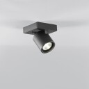 Light-Point Focus 1 Spot IP20 2700K Black
