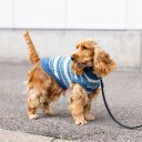 Little&Bigger Meadowline Hundegenser str. 20 Blå