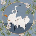 Graceful Egrets' Elegance Plakat Plakat / 30x30cm
