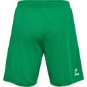 Danmark 24/25 Keepershorts Grønn M