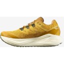 Salomon Men's Aero Glide 3 Grvl Spicy Mustard/vanilla Ice/deep Lich 44