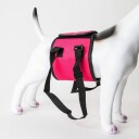 Bæresele Til Hund Løftesupport