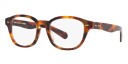 Polo Polobriller ph2261u fra Polo Havana Acetate firkantet Large