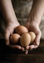 Organic Farm Eggs Plakat Plakat / 50x70cm