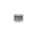 DT Spare Parts 4.68046 Begrensningslys