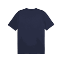 Puma teamGOAL Jersey treningstrøye herre Blue XS