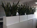 Design blomsterpotte MONUMO LUNGO Hvit