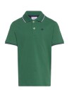 Champion Polo Green 162 167