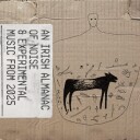 V/a  An Irish Almanac Of Noise & Experimental Music From 2025  CD