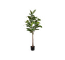 Fikus Elastica kunstig plante H:190 282710
