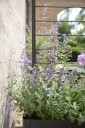 Eva Solo Simply Grow espalier til plantekasse svart