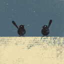 Birds Plakat Plakat / 100x100cm