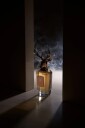 Pana Dora Sweden Imperial Wood Extrait de Parfum 100ml