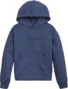 Tommy Hilfiger Ww Dg Signature Hoodie Desert Sky (140 / 10 år)