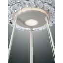 Foscarini Caboche Plus Media LED Gulvlampe Transparent
