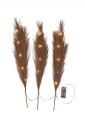 Star Trading   Dekorasjon Plumes 3 p   Brun