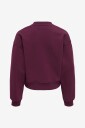 KIDS ONLY   Collegegenser Kogbest Life L/S Crew Neck Swt   Rød