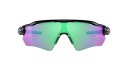 Oakley Radar EV Path Polished Black w/ Prizm Black