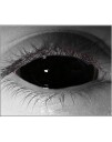Black Sclera 22 mm Heldekkende Linser