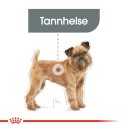 Royal Canin Mini Dental Care Tørrfôr til hund 3 kg - Tannpleie for små hunder