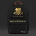 Harry Potter Tursekk   37x26x13cm   Galtvort V??penskjold
