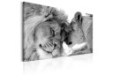 Tavle Lion'S Love 90X60 Artgeist sp. z o. o.