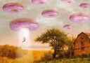 Donut Invasion Plakat Plakat / 30x40cm