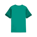 Puma teamGOAL Matchday Jersey, treningstrøye, junior Green 152