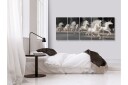 Bilde Unicorns Run 5 Parts Narrow 225x90 Artgeist sp. z o. o.