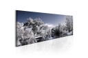 Tavle Wintry Lake 120X40 Artgeist sp. z o. o.